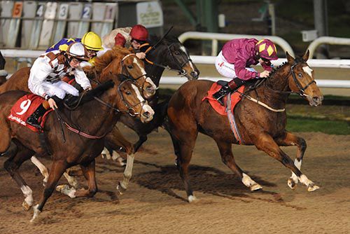 Maroon and yellow silks Colin Keane wins on Paved With Gold
