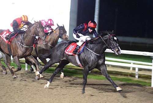 Aggression and Shane Kelly win the Dundalk opener