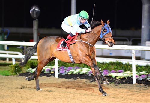 Black Label and Declan McDonogh take the night-cap in good style