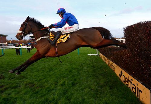 Cue Card winning the Betfair Chase last year