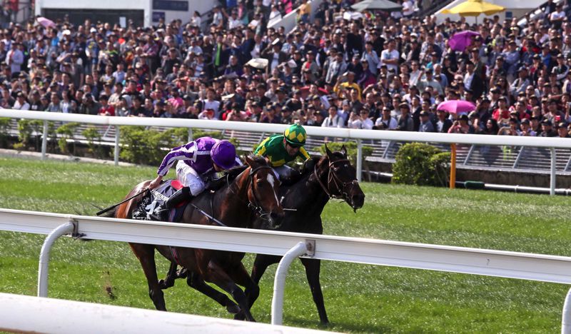 Satono Crown (far side) just gets the better of Highland Reel 
