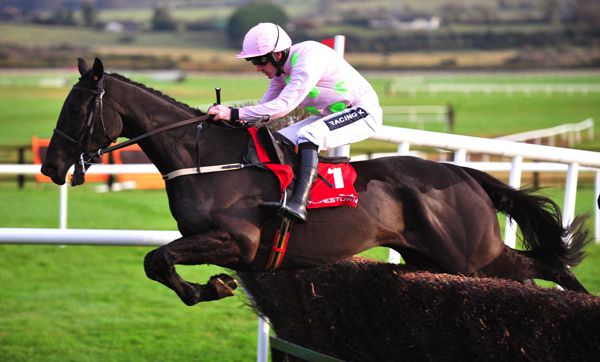 The Willie Mullins-trained American Tom