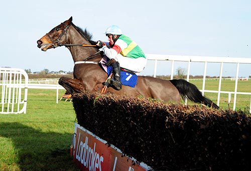 Back Before Dawn jumps the last under Conor Brassil