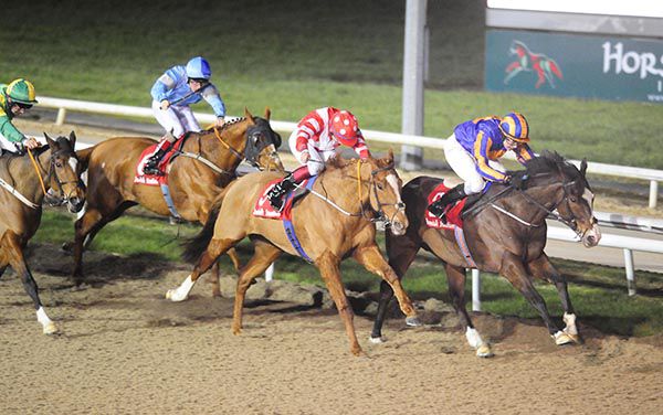 Ligeti and Ana O'Brien prevail in the penultimate at 


Dundalk