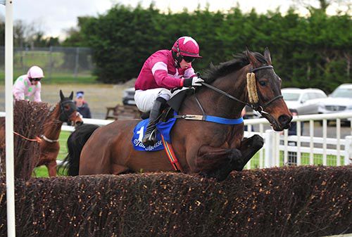 Alamein and Bryan Cooper clear the last