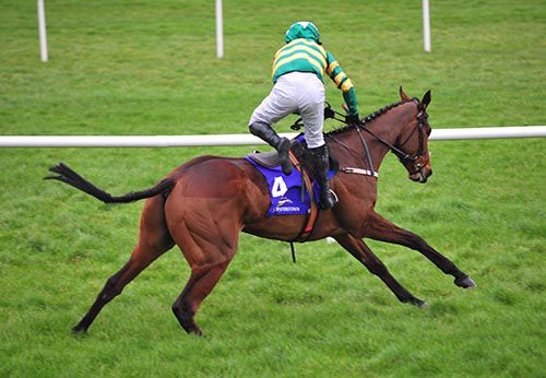 Jody made a remarkable recovery to win aboard Great Field at Leopardstown 