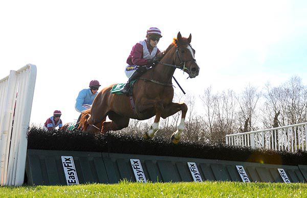 Andratx and Andrew Ring in charge at Downpatrick