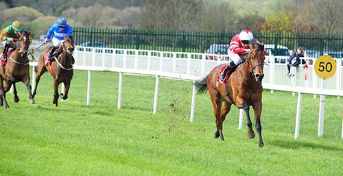 Son Of Rest pictured on his way to victory at Cork earlier this month