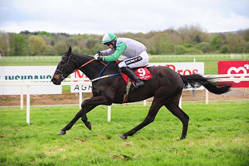 Minella Beau in the clear at Cork