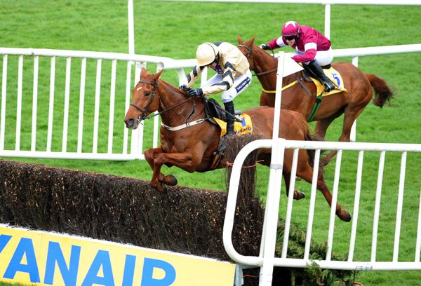 Yorkhill - Leopardstown Christmas Chase possibility