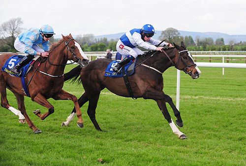 Tandem and Leigh Roche beat Motherland and Donnacha O'Brien