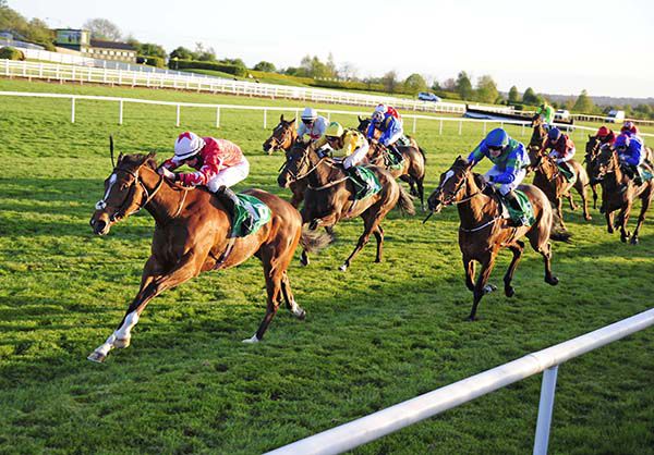 Keep Believing and Conor Hoban lead them home  in the Navan finale
