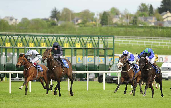 Homesman (2nd left) badly hampered two runners at Limerick but kept the race 