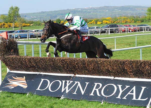 Swantykay and Donagh Meyler clear the last
