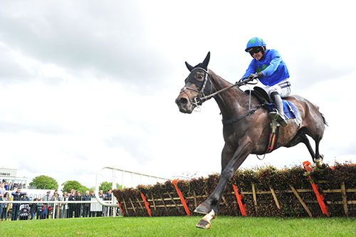 Asthuria and Ruby Walsh pictured on their way to victory