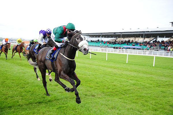 Dabulena leads home her rivals under Pat Smullen