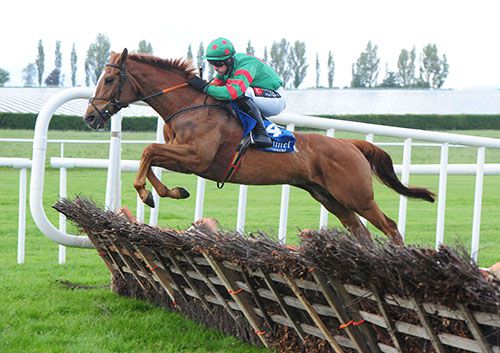 Ornua takes off at a flight under Brian O'Connell