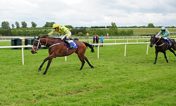 Gagas Horse outguns Minella Beau in Limerick