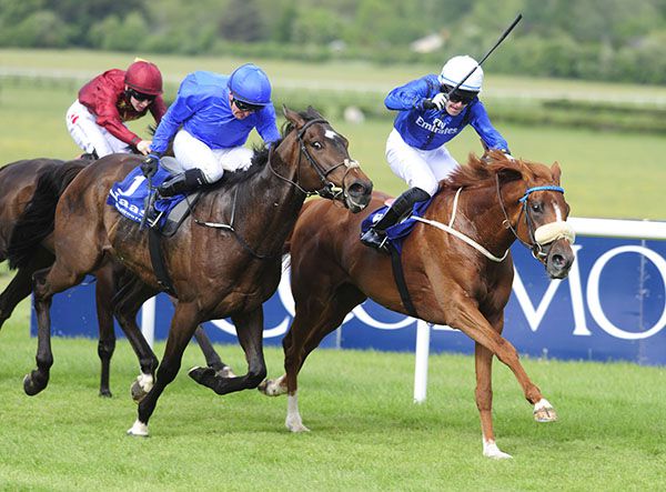 Allography, white cap, beats Escape Clause in Naas