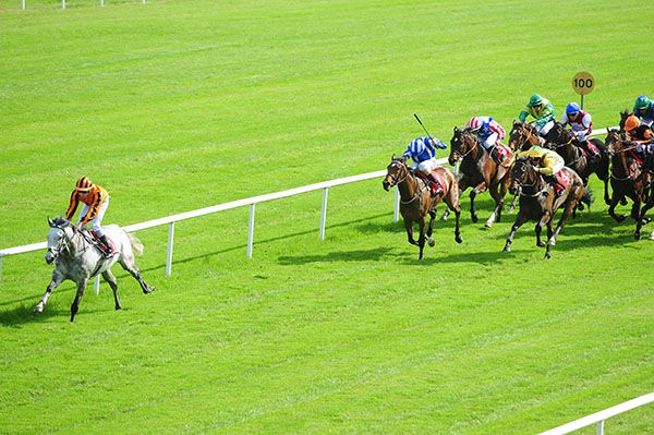 It  was easy for Belclare Boy and Ronan Whelan at Gowran