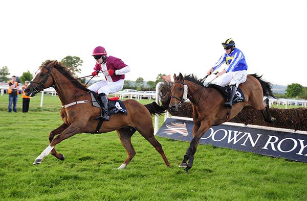 Curragh Golan and Paul Townend chase Coldstonesober over the last