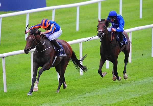 Thunder Snow chases home Churchill at the Curragh