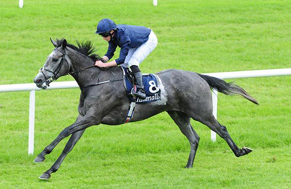Winter is a hot favourite for the Coolmore Fastnet Rock Matron Stakes