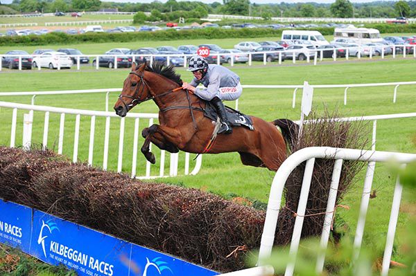 Conrad Hastings wins easily under Davy Russell