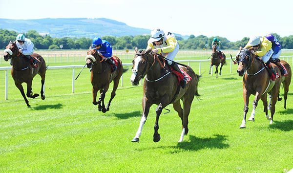 The white-faced Oneoveryou leads home her rivals under Conor Hoban