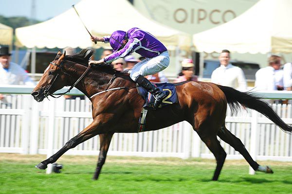 Cape Of Good Hope is a full-brother to Higland Reel (pictured)