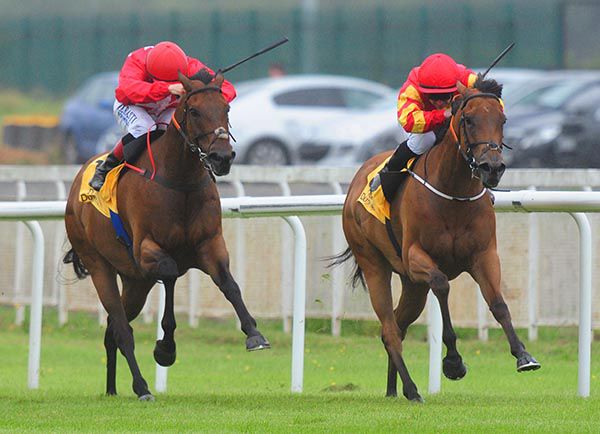 Only MIne (right) beating Gordon Lord Byron