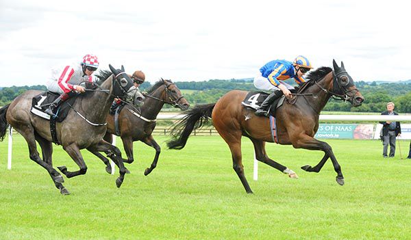 Music Box leads them home in Naas