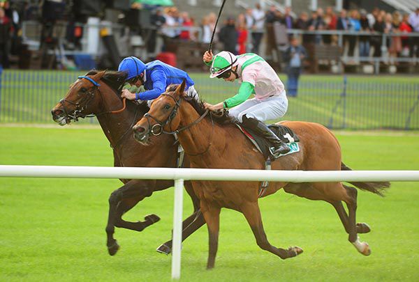 Moonlight Magic (blue) gets up to beat Deauville