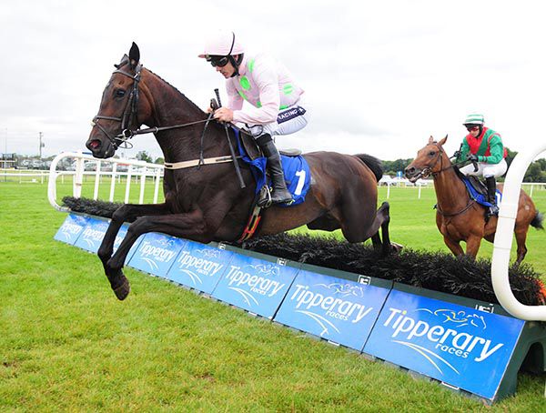 Cap D'Aubois and Ruby Walsh win at Tipperary