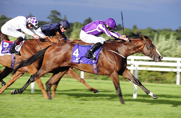 The Pentagon winning the JRA Tyros Stakes at Leopardstown