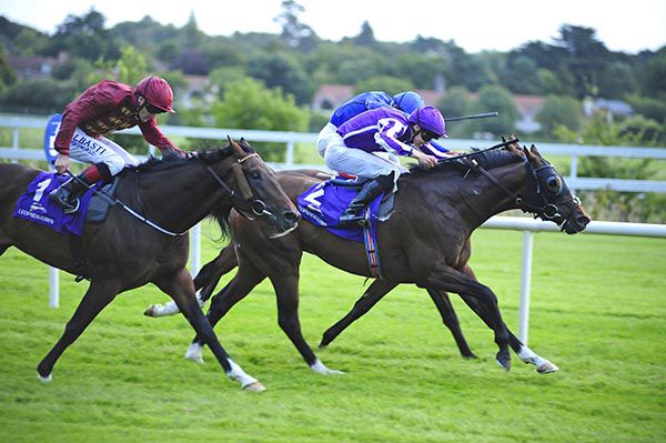 Belgravia edges out Clongowes (rail) with Act Of Valour third