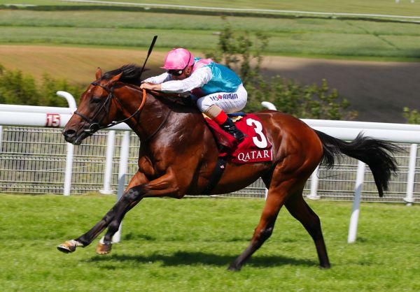 Expert Eye winning in style at Goodwood
