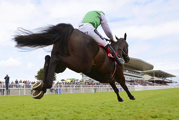 What a shot - Minella Beau and Ruby Walsh fly towards the number one
