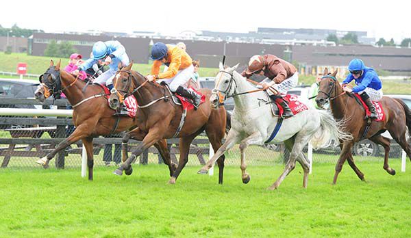 Grey horse Dream Walker swoops to conquer in Galway