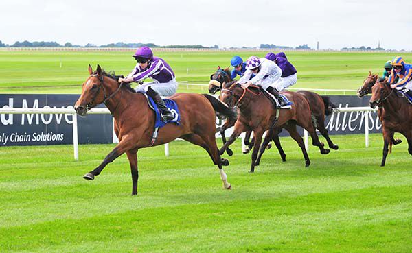 Saxon Warrior is pushed out by Donnacha O'Brien