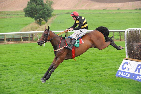 Jimmy Two Times pops the last in Downpatrick