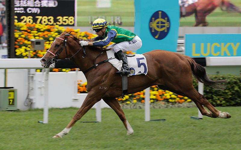 Blizzard wins the G3 Chinese Club Challenge Cup at Sha Tin last season.