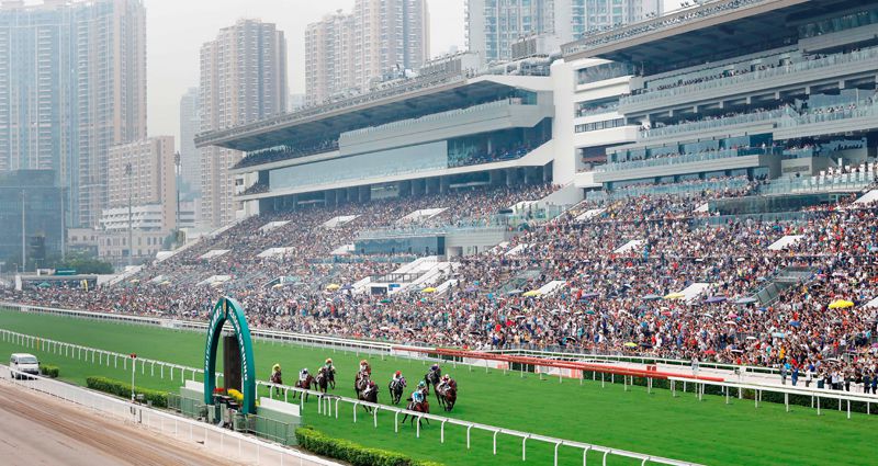 66,000 people attended Sha Tin on Sunday