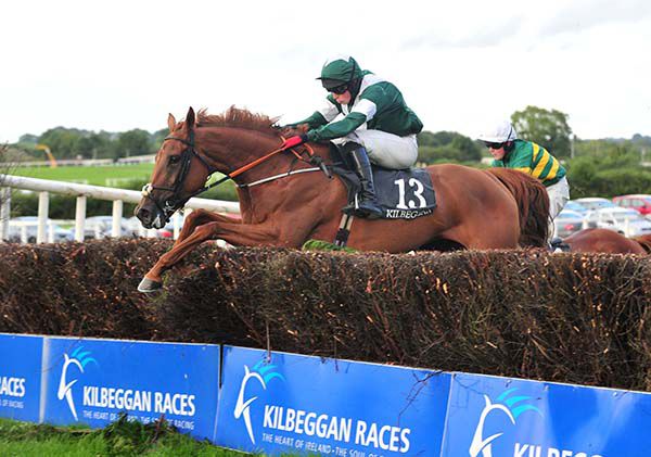Rosie Alice clears the last under Donie McInerney