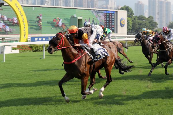 Premiere wins the Class 2 Chinese Recreation Challenge Cup Handicap 