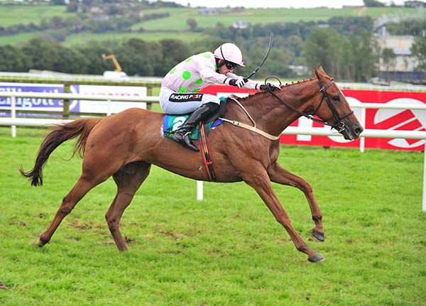 Brahma Bull supplied Patrick Mullins with a 24th win of the campaign 