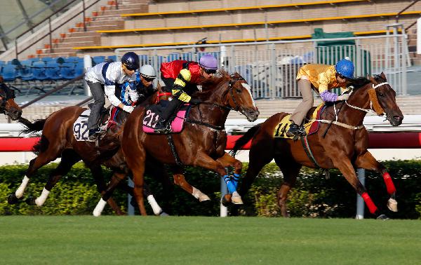 Peniaphobia (yellow silks) and Lucky Bubbles (purple cap) finish one-two in a 1000m turf barrier at Sha Tin this morning