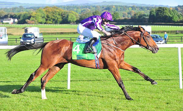Saxon Warrior could be Donny bound