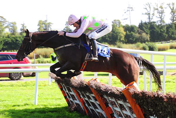 Sharjah jumps the last under Ruby Walsh