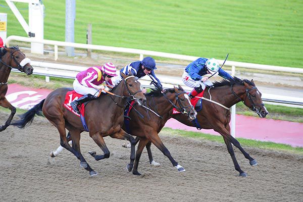 My Mystique (Colin Keane, rail) edges out Shalailah and the promising Tammy Wynette (near)